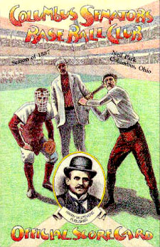 Baseball Brochure