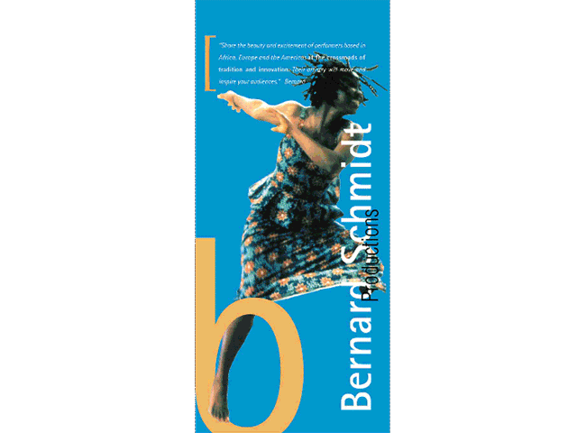 Bernard Schmidt Brochure